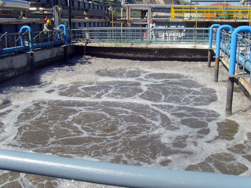 焦化废水生化处理系统